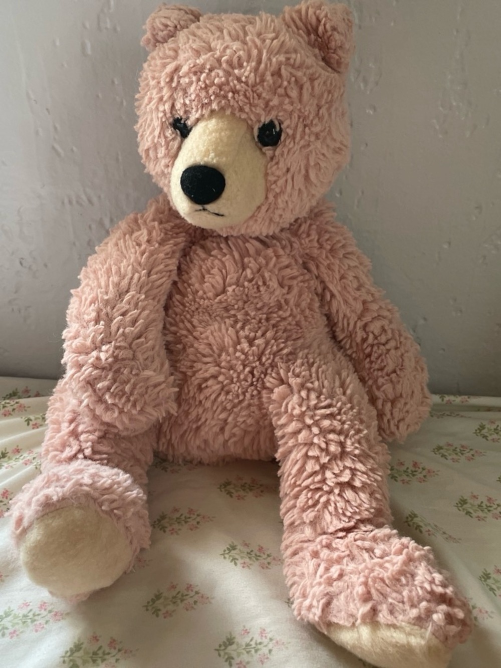 Aurora Humphrey Bear